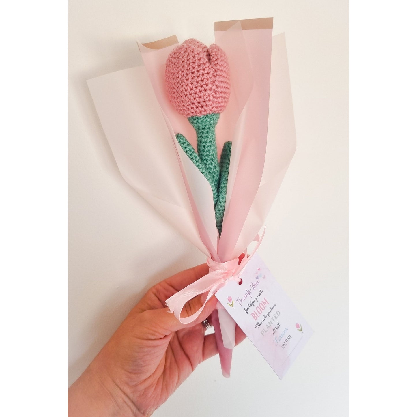 Everlasting Tulip (single)